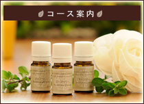 �R�[�X�ē�
