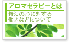 �A���}�Z���s�[�Ƃ�